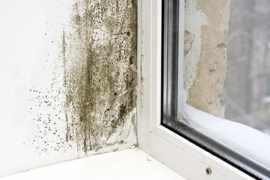 Window reveal mould in a Nottingham property